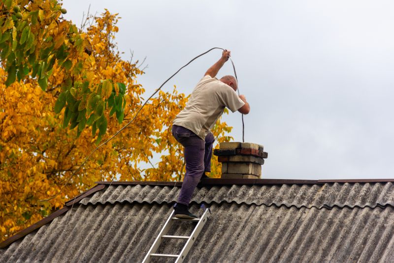 Inspecting Chimney Liner